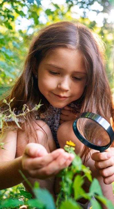 EDUCAÇÃO AMBIENTAL 1